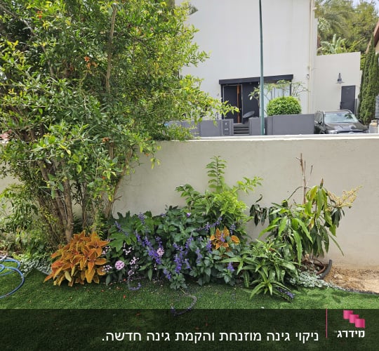 גינה עם צמחים ודשא סינטטי ליד קיר